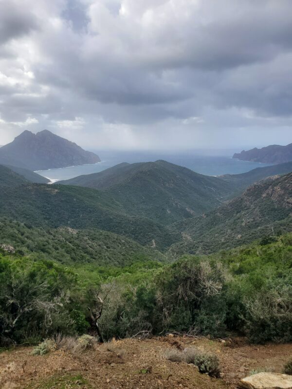 NORTHERN CORSICA October 27- November 1, 2025 - Image 4